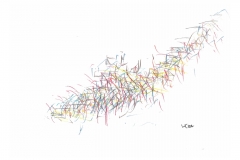 Haschemann