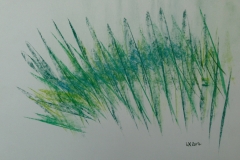 studie in grün